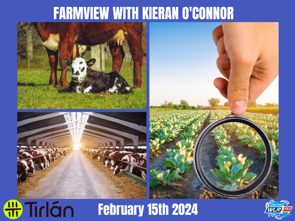 Farmview February 15th 2024
