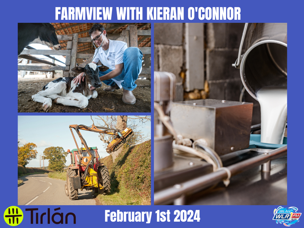 Farmview February 1st 2024