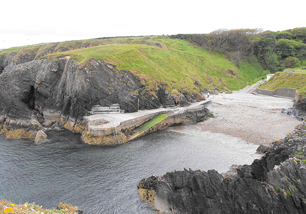 guillamene newtown cove waterford