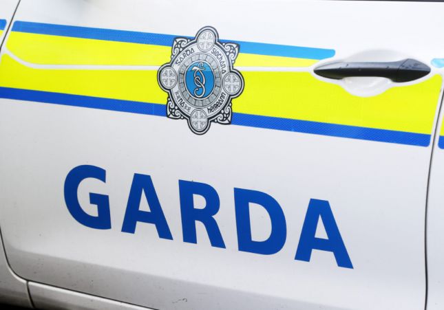 garda car door