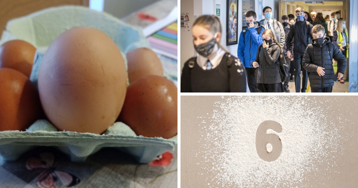 The Big 6 Wednesday February 24th