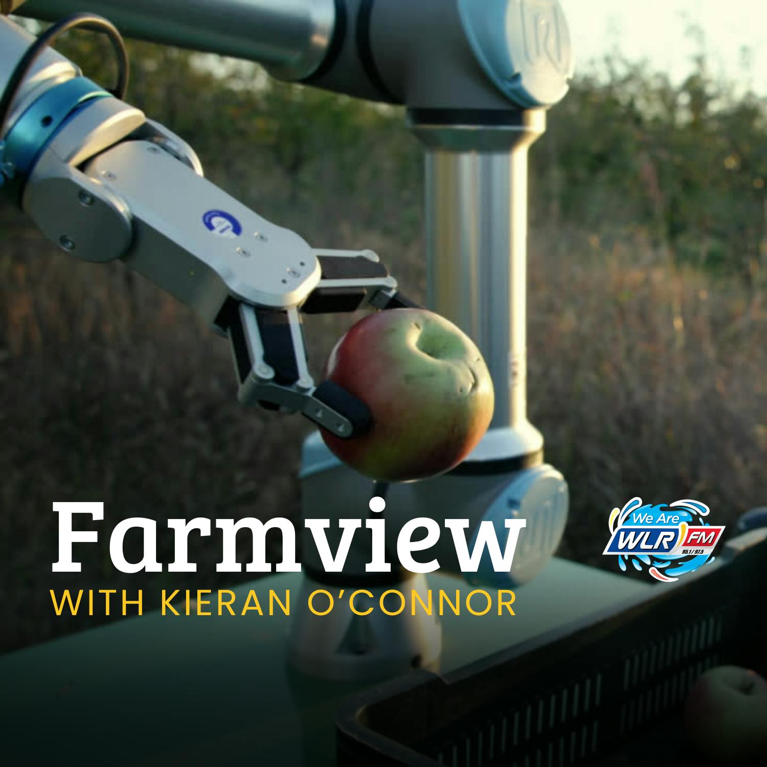 Farmview August 15th 2025