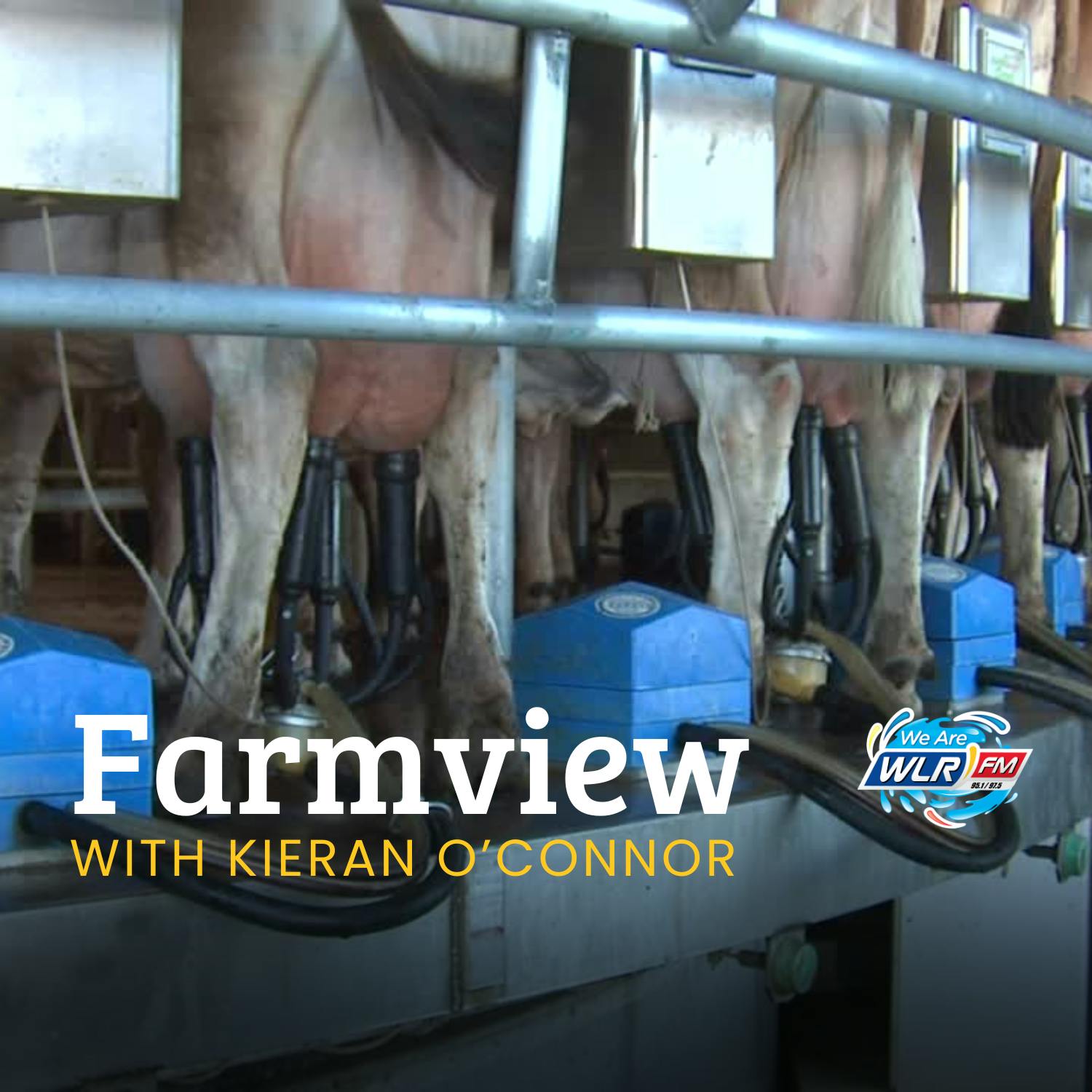 Farmview October 16th 2025