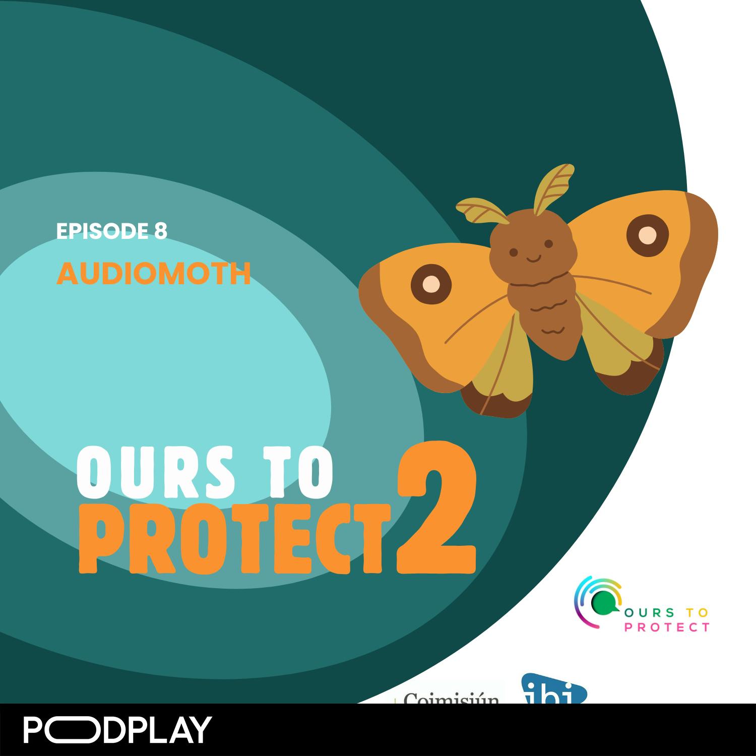 Episode 8: AudioMoth