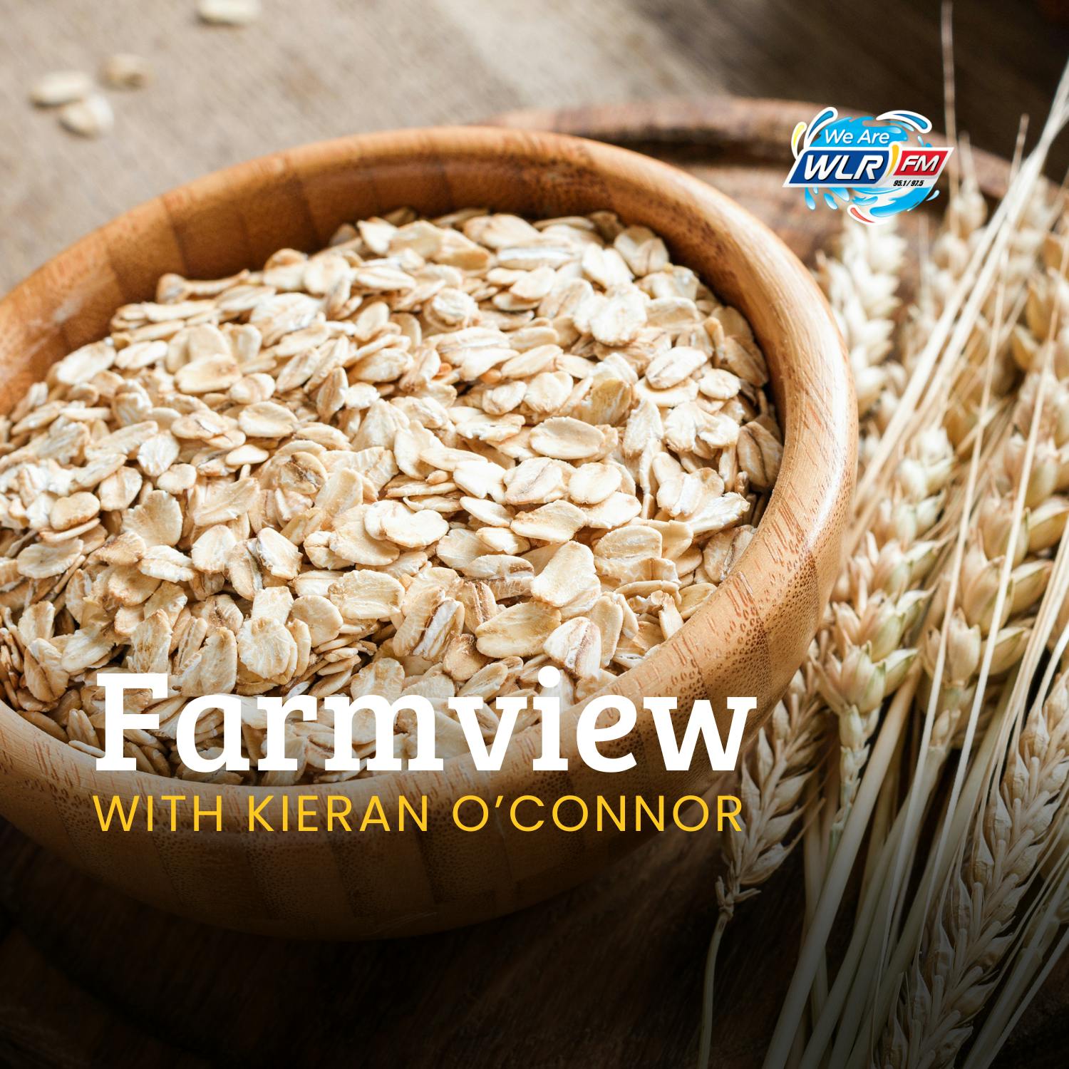 Farmview November 20th 2025
