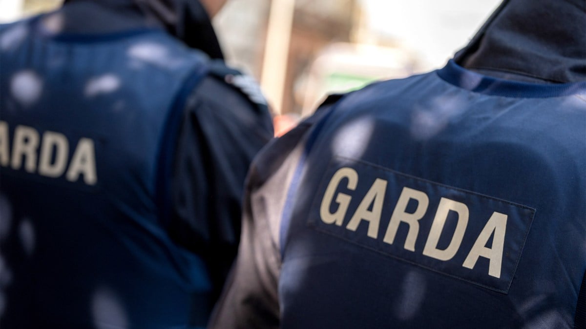 Garda arrested, woman