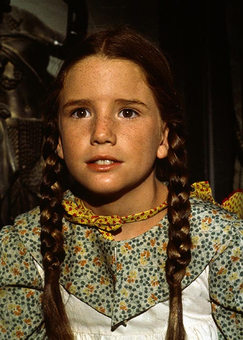 Little House on the Prairie is getting a Netflix reboot. Pic: Rex