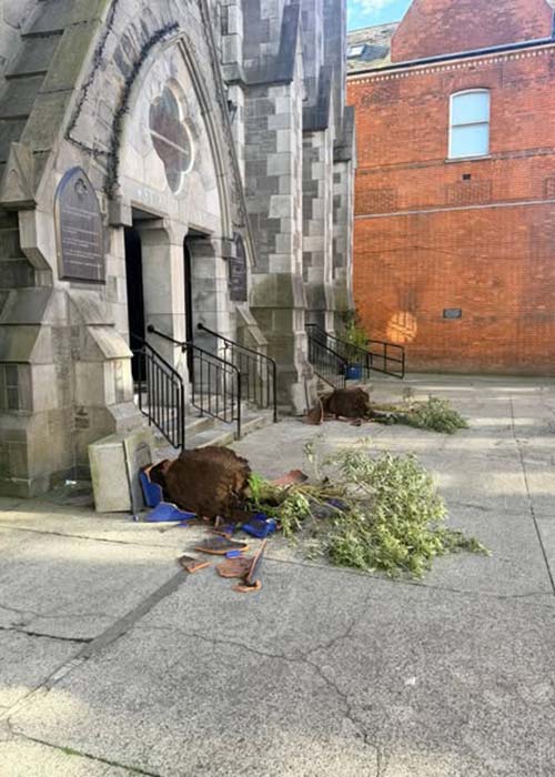 Pic: The Augustinian Church Drogheda / Facebook