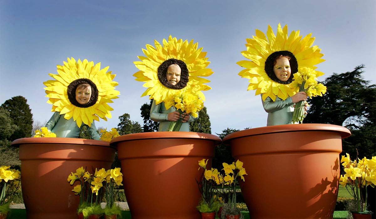 Melanie Keery (5), Zara Joyce (6) and Kerrie O Brien (5) dressed as little Sun Flowers as they helped launch, Bloom 2007. Pic: Leon Farrell/Photocall Ireland