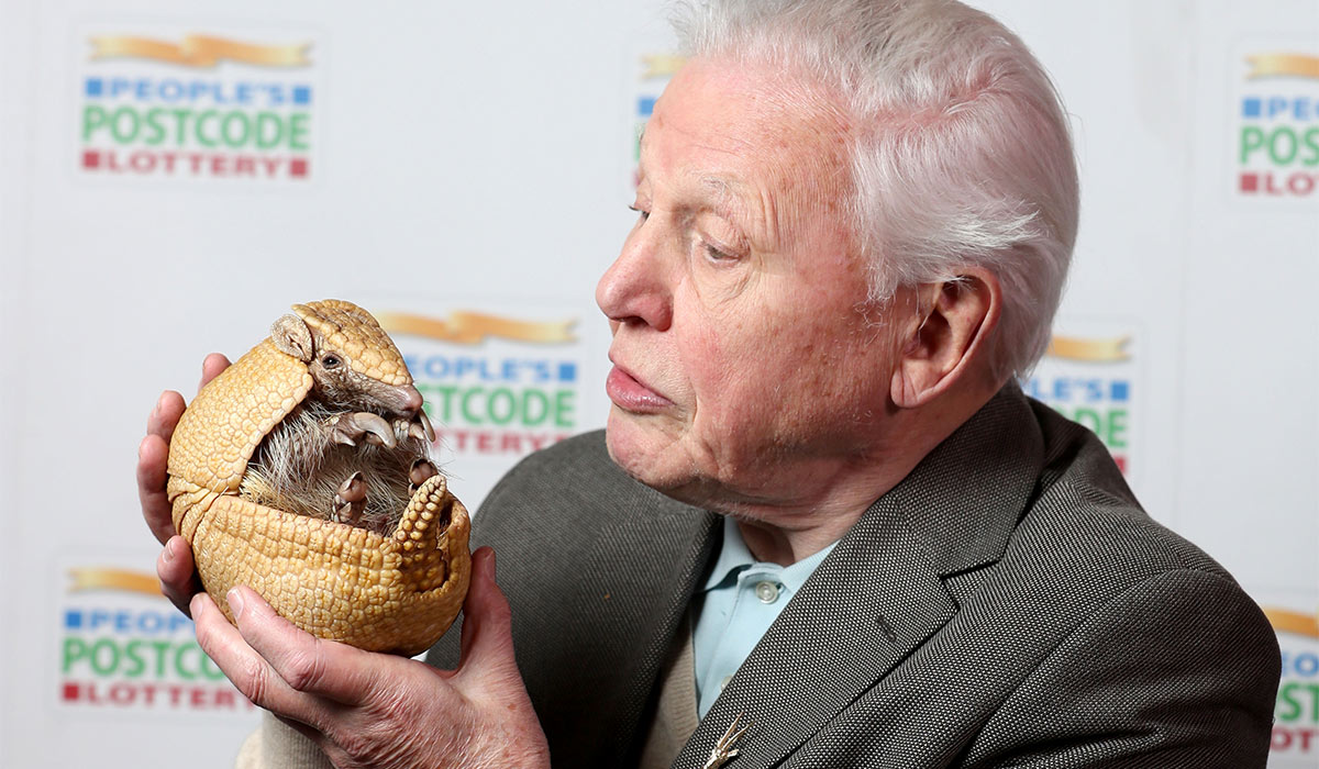 Sir David Attenborough holding 'Inti', an armadillo from Edinburgh Zoo, before receiveing a 250,000 pound cheque from the People's Postcode Lottery for the charity Fauna and Flora International of which he is Vice-President, at Prestonfield House, Edinburgh. Pic: Jane Barlow/PA Wire