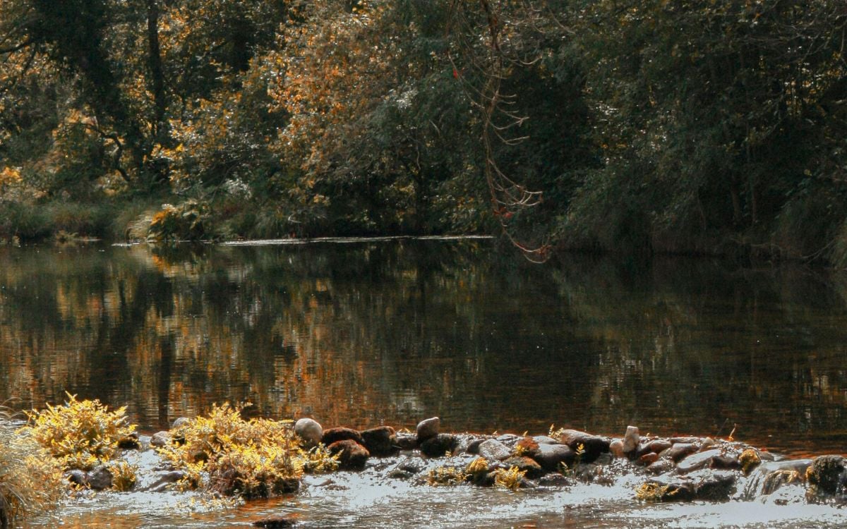 river blockage