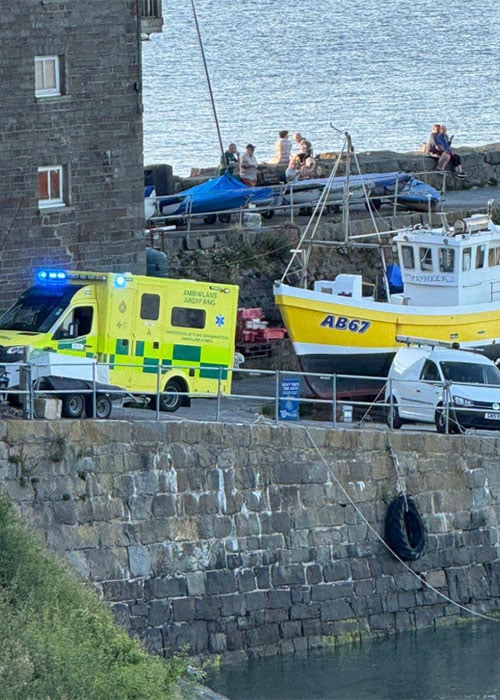 Pic: New Quay Lifeboat station/Facebook