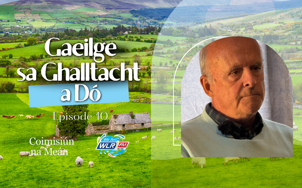 Dr Cathal Ó Dálaigh
