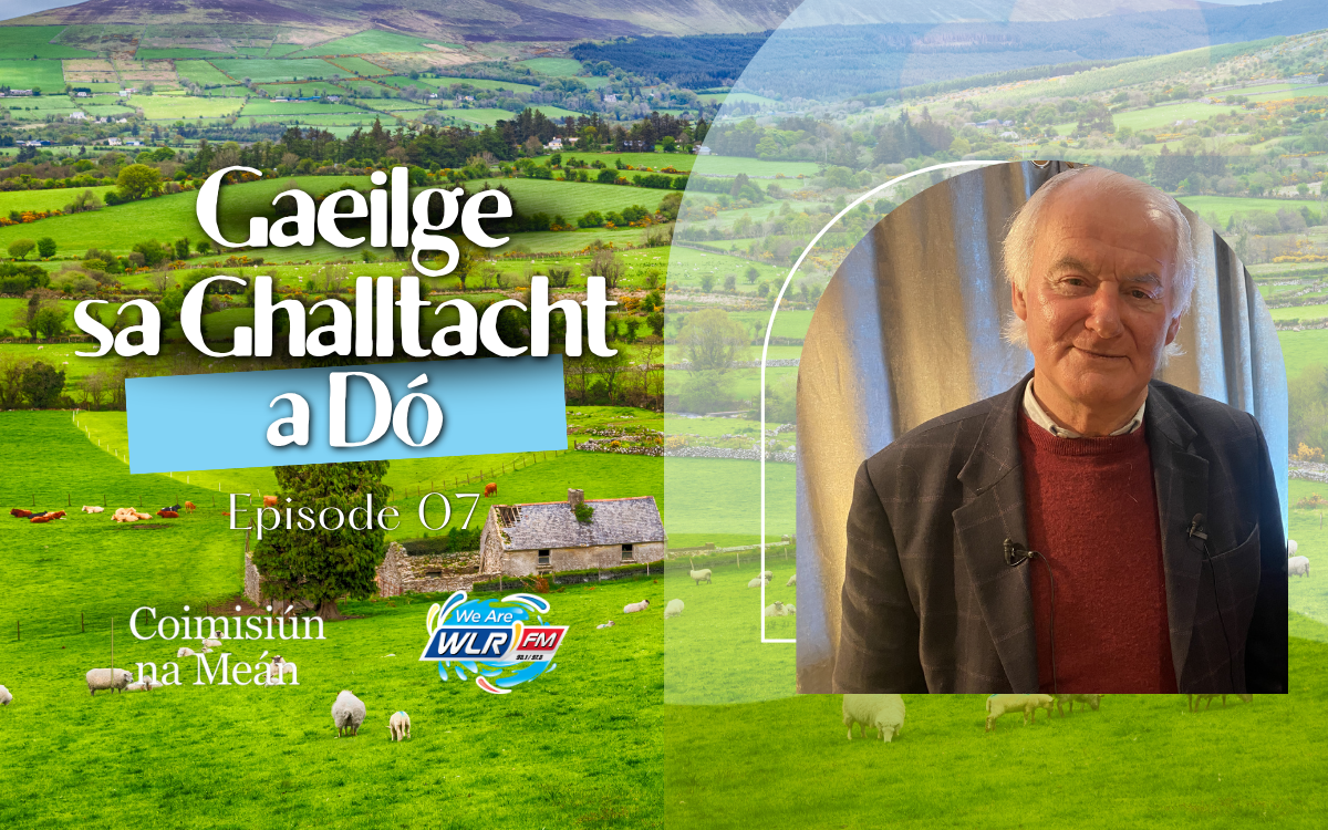 an tOllamh Ciarán Ó Broin