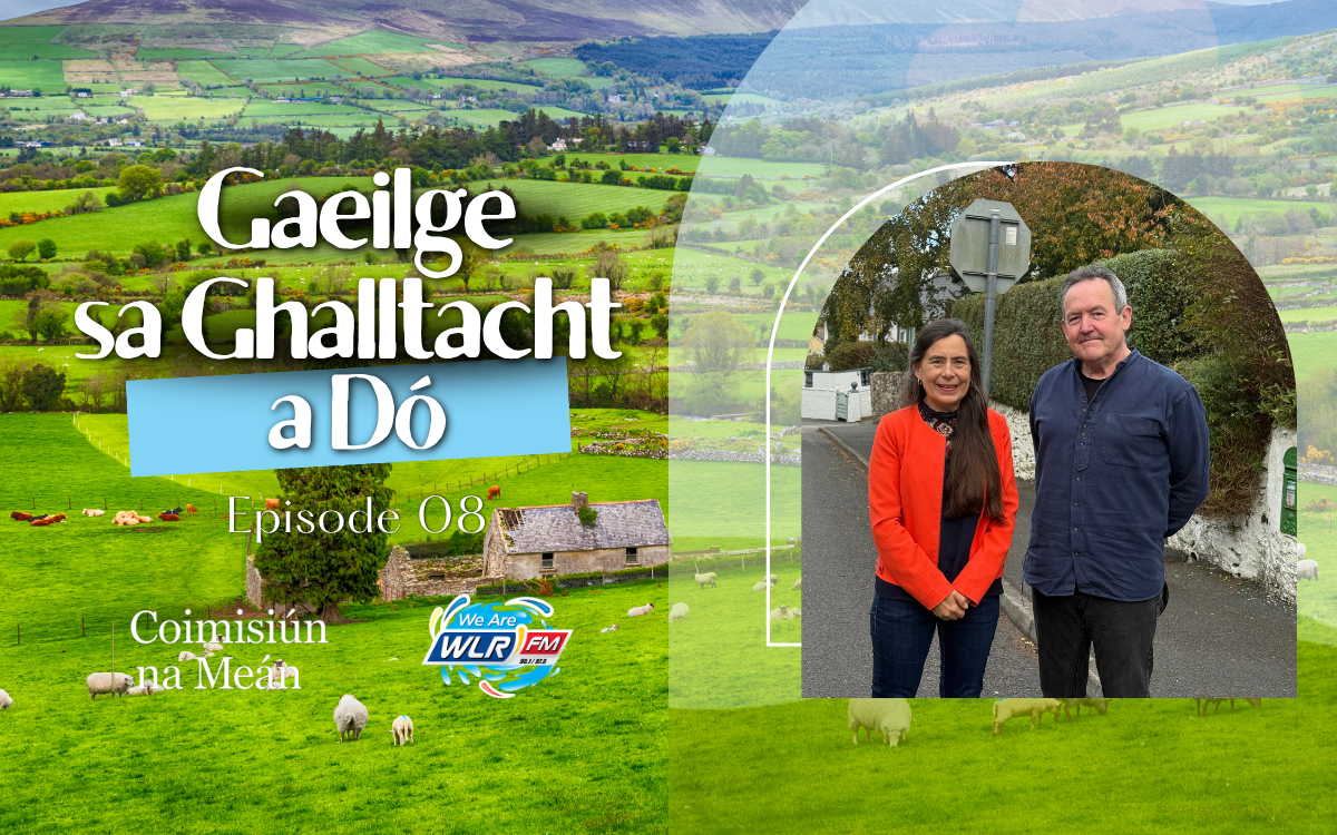 an Dr Stiofán Ó Cadhla