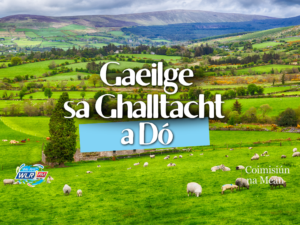 Gaeilge sa Ghalltacht a Dó on WLR
