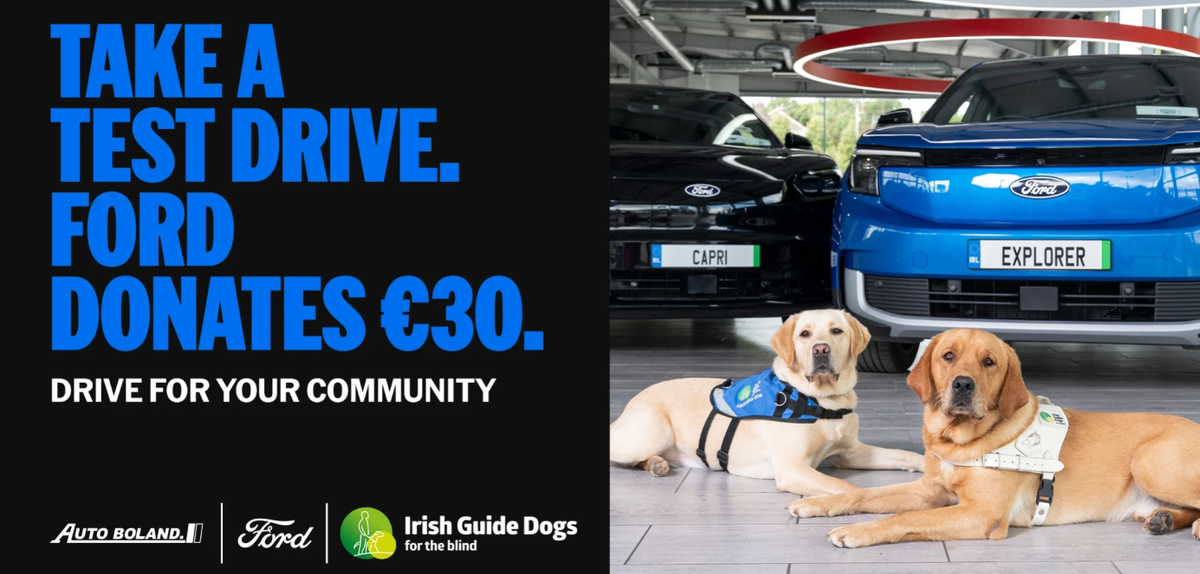 Dogs Charity Ford 2