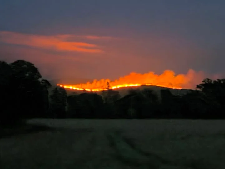 Slievenamon