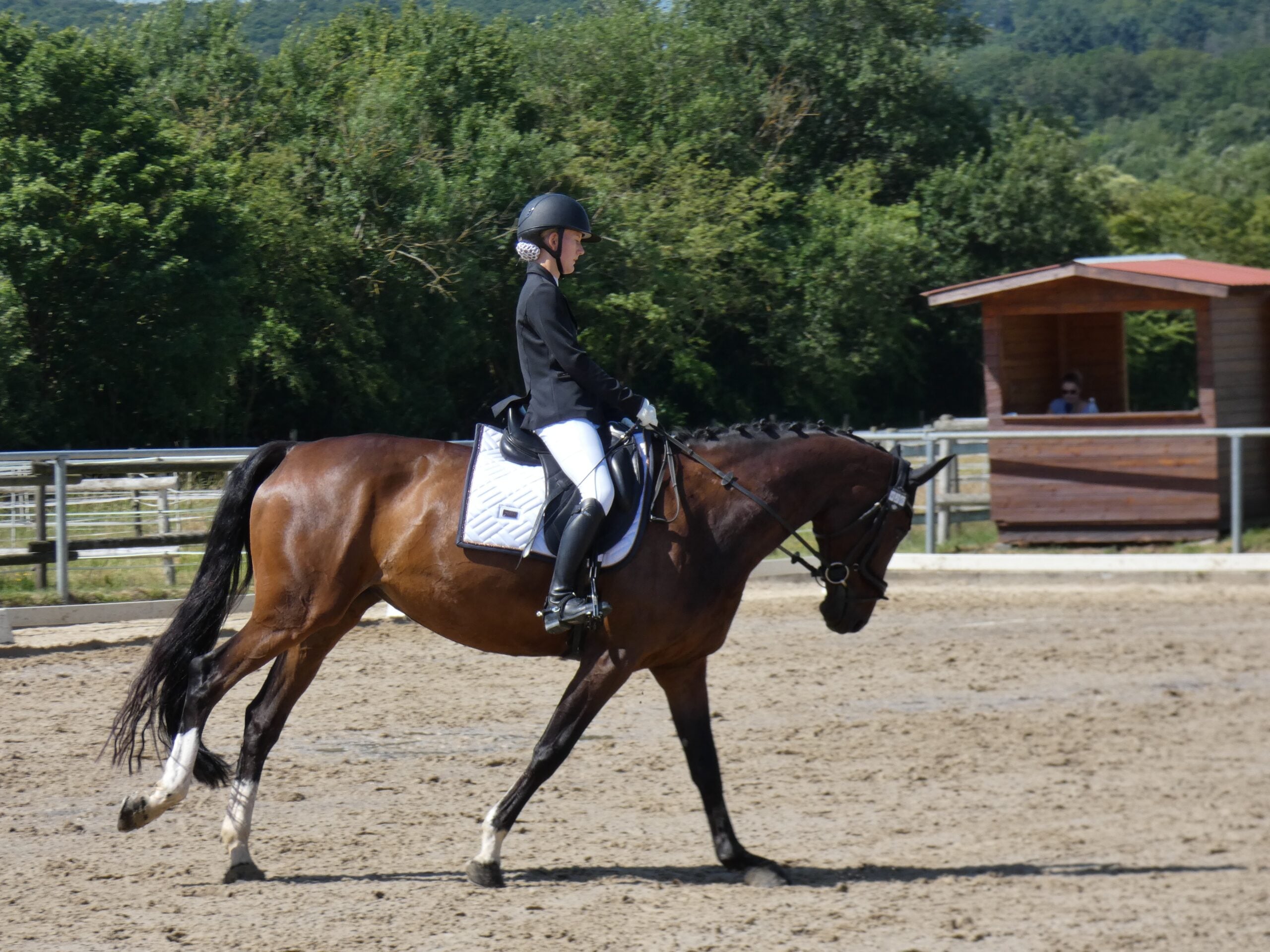 equestrian arena