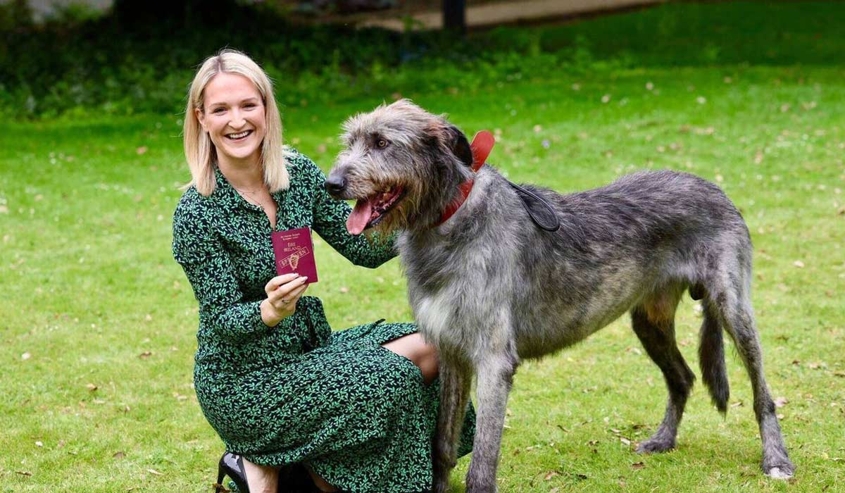 irish wolfhound passport