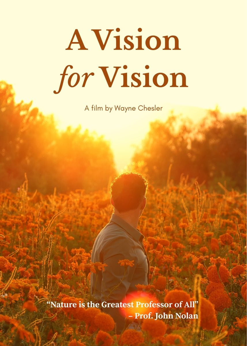 A Vision for Vision Poster