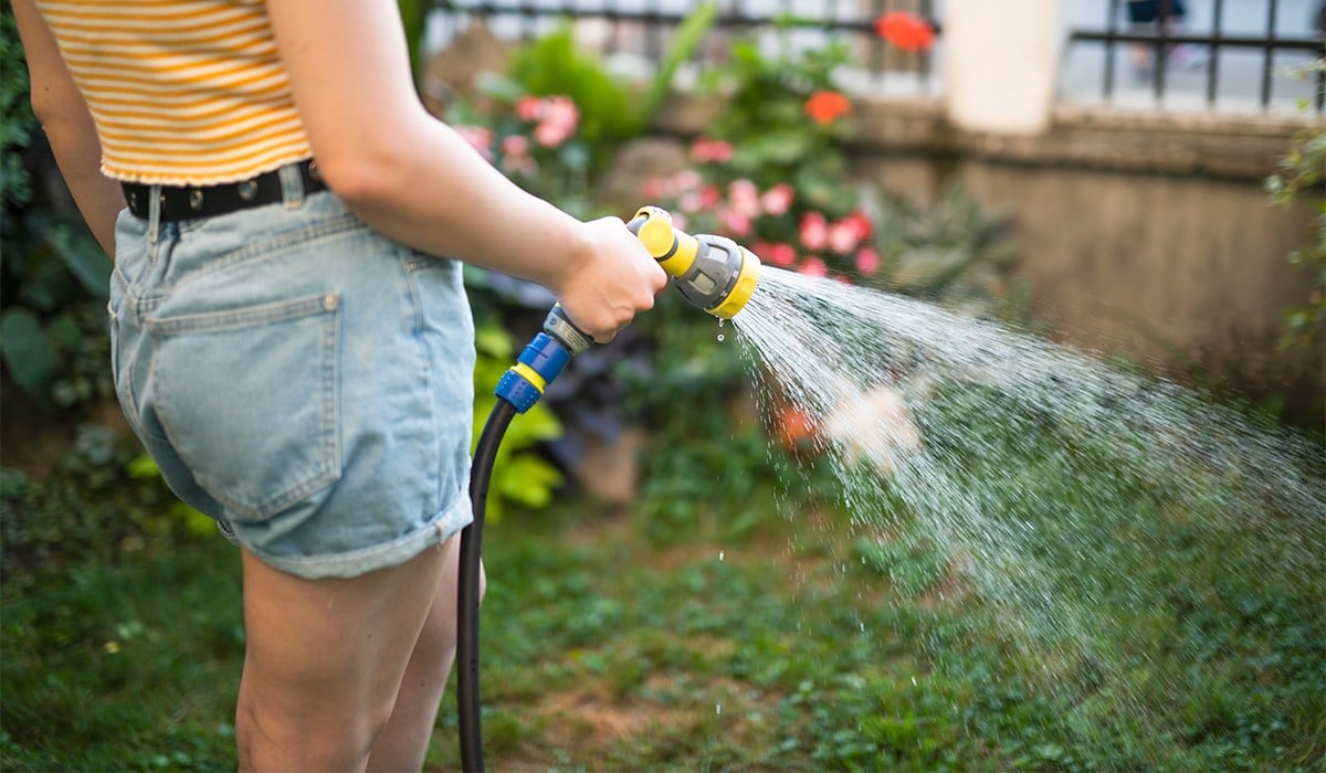 Hosepipe 2