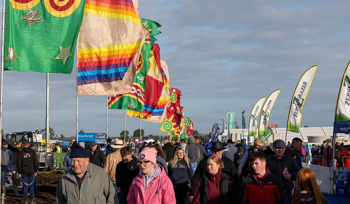 ploughing championships
