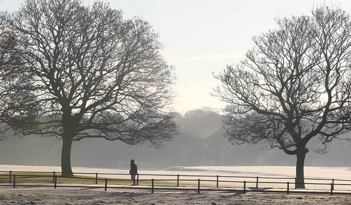 Ice