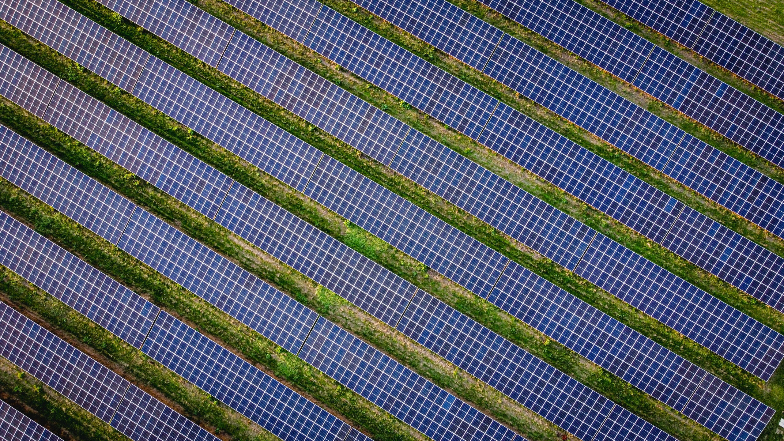 Solar farm
