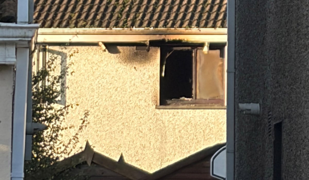 Birchwood Fire Window