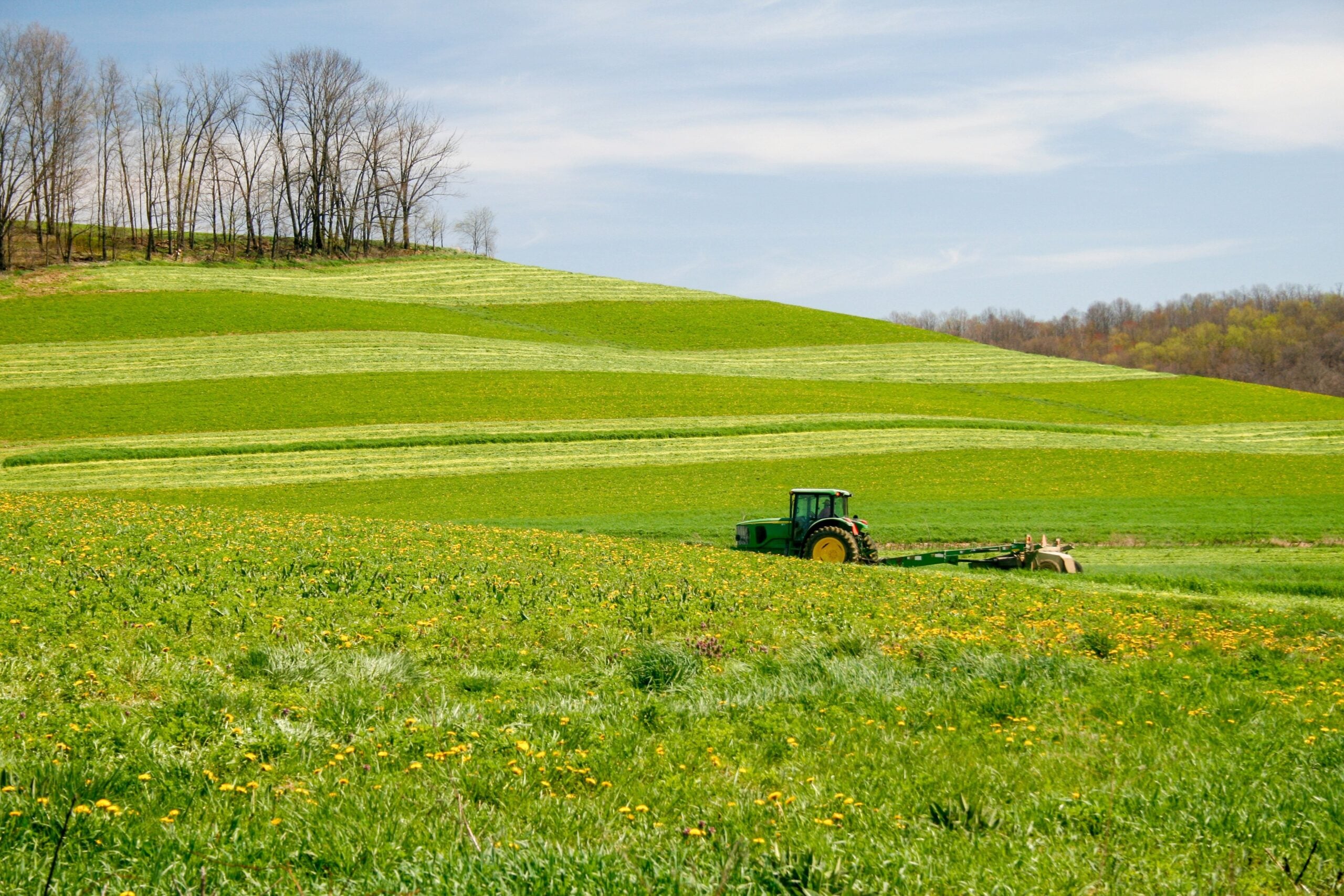 Irish Farmers