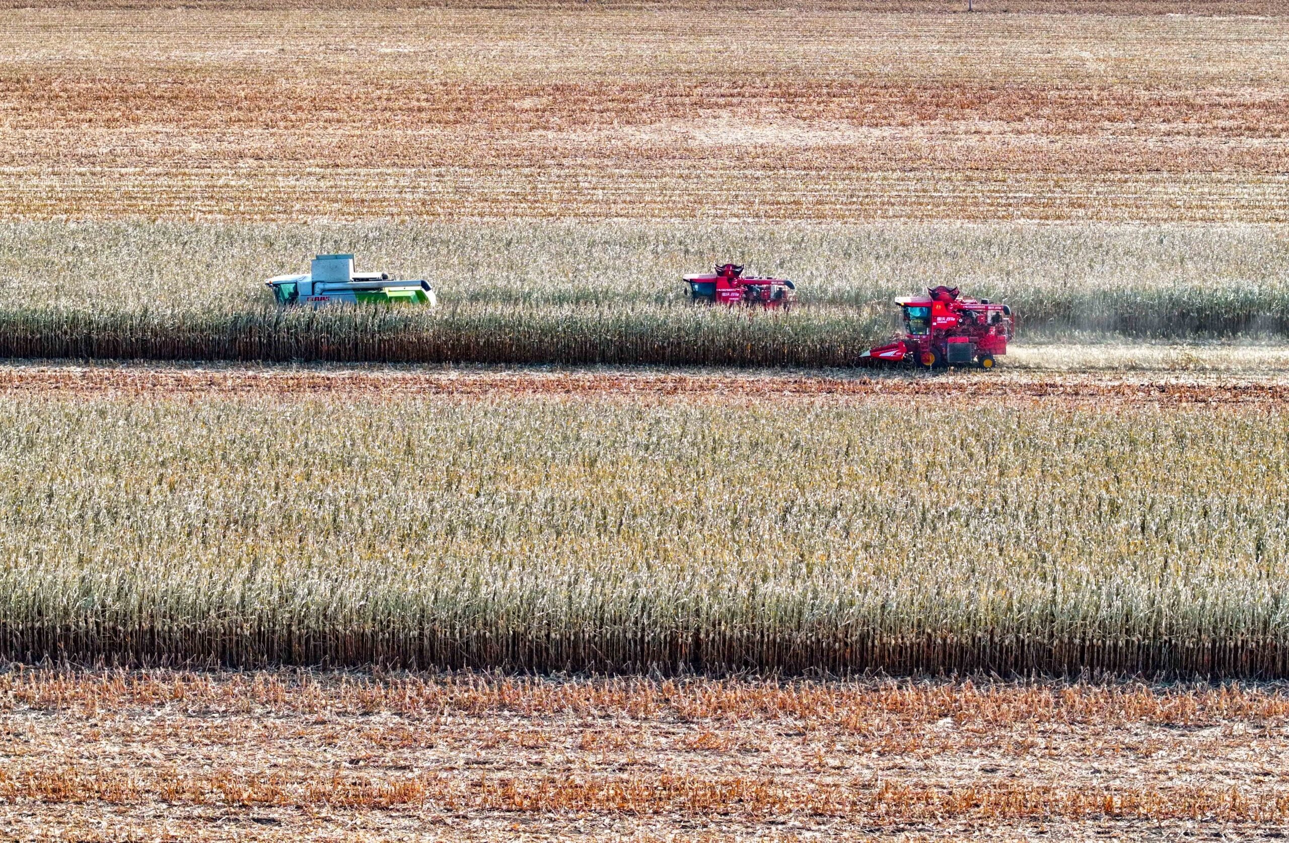 Waterford farmers