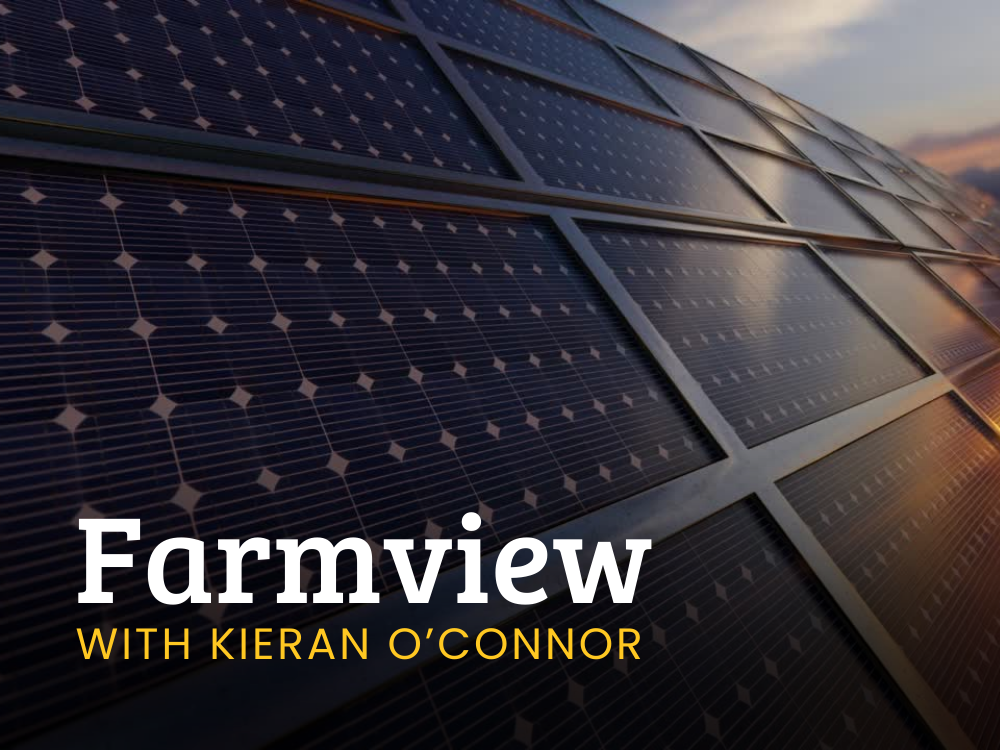 Farmview June 20th 2024