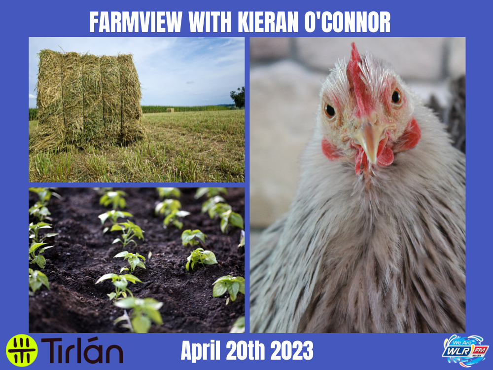 Farmview April 20th 2023