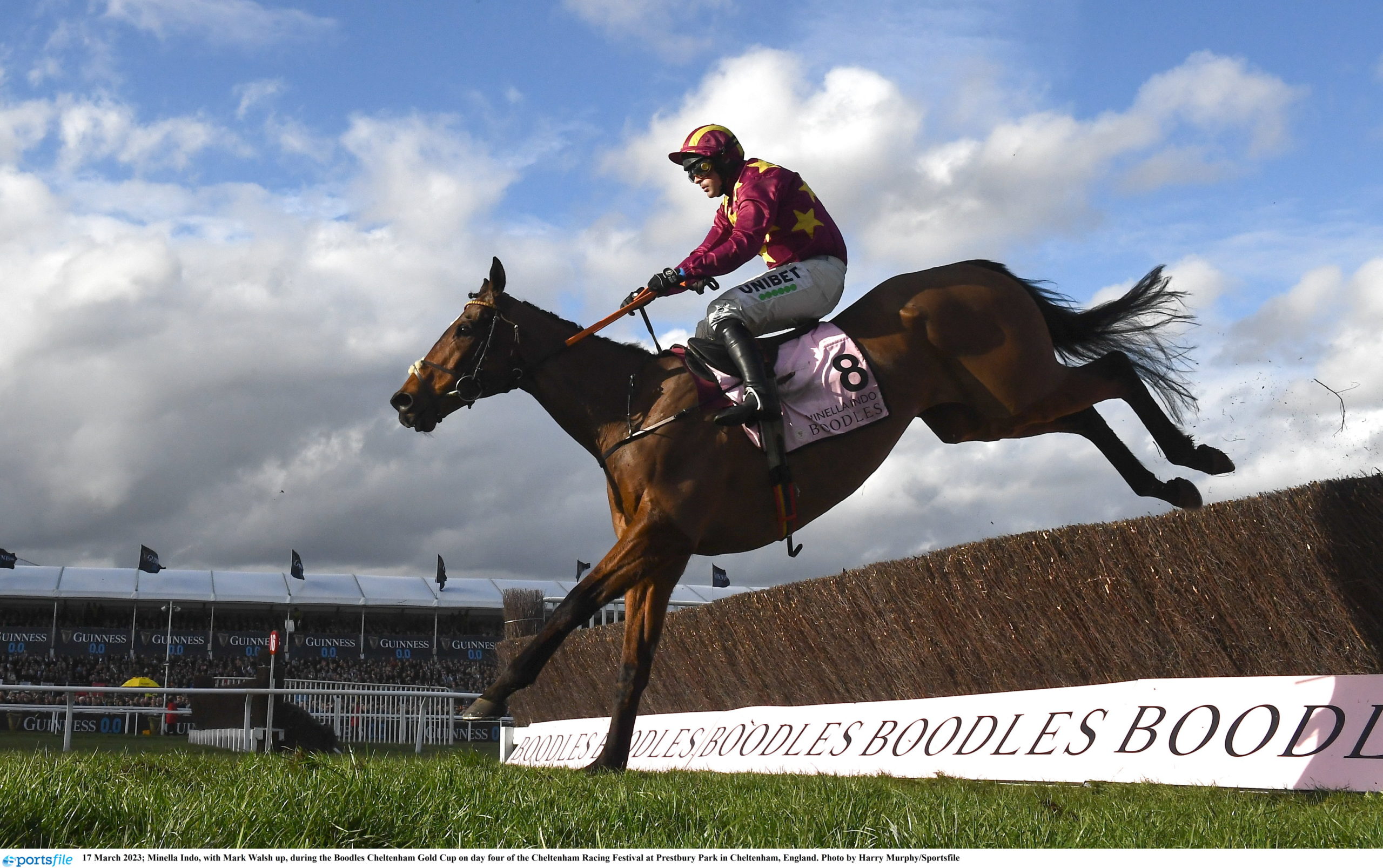 Minella Indo Grand National