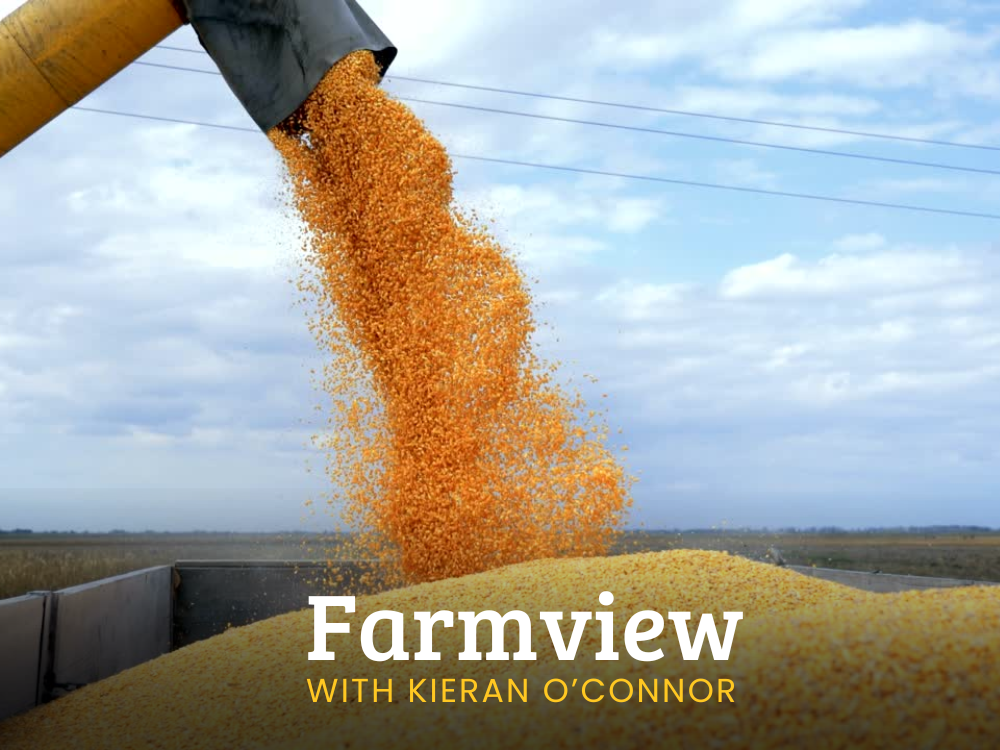 Listen Back: Farmview Oct 24th