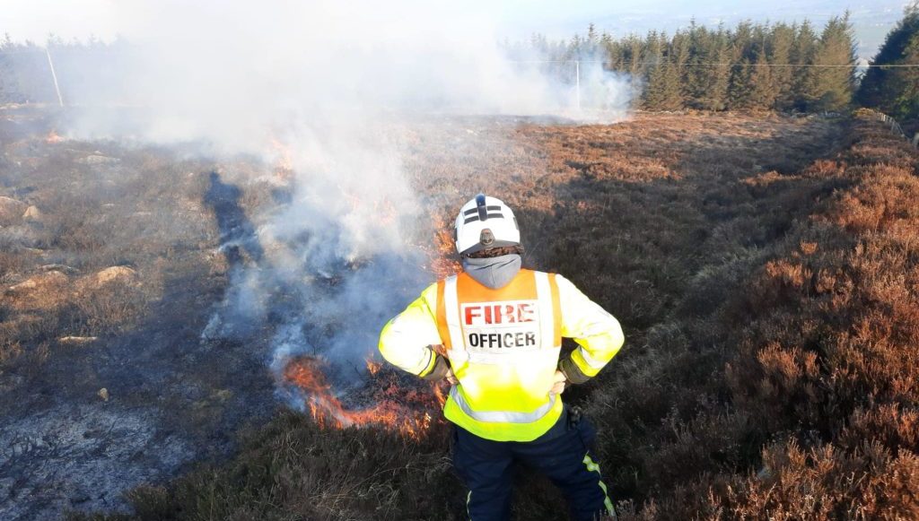 gorse fires