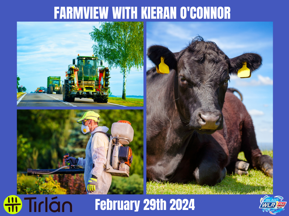 Farmview February 29th 2024