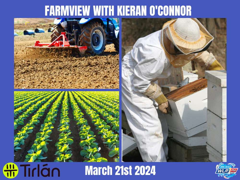  Farmview March 21st 2024