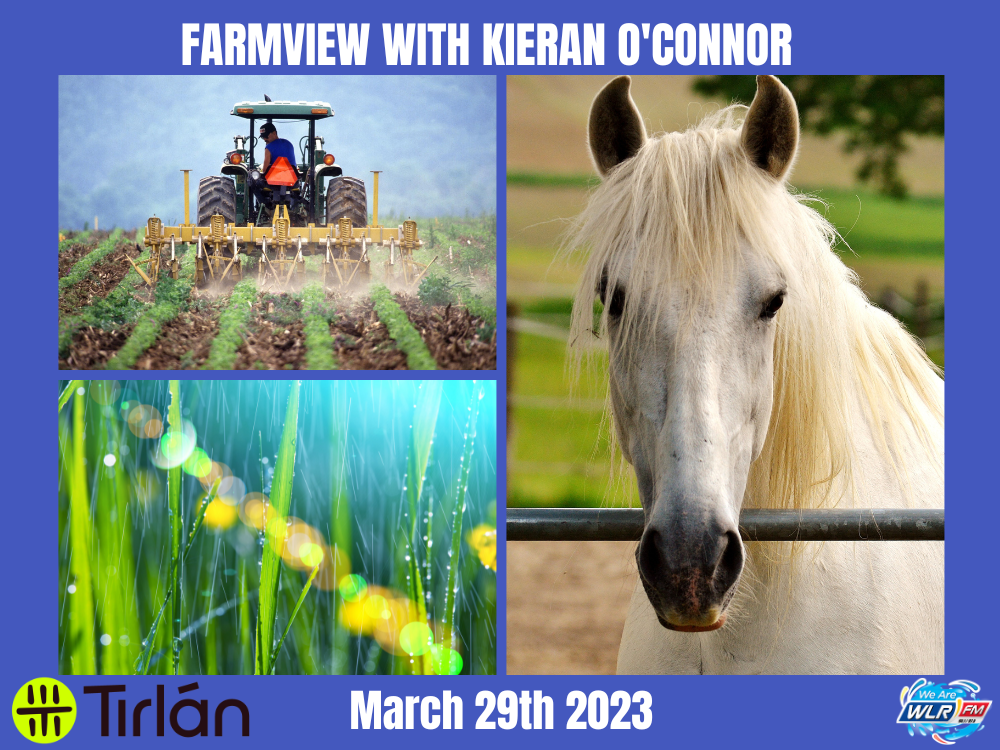 Listen Back: Farmview March 30th, 2023