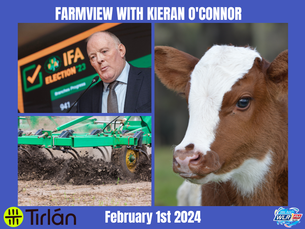 Farmview February 8th 2024