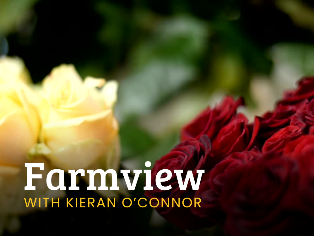 Farmview May 30th 2024