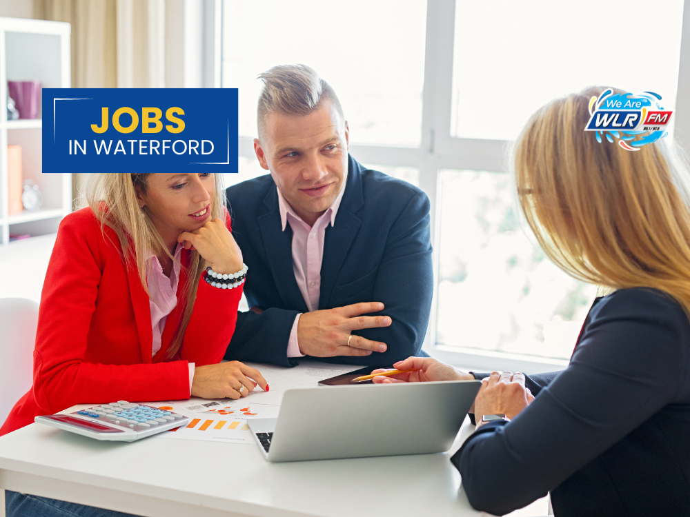Business Advisor Waterford City and County Council