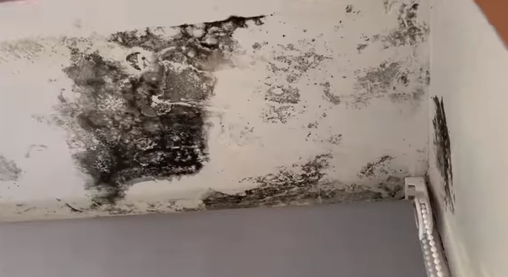 Mold at the couples Apartment, Mount Suir, Waterford