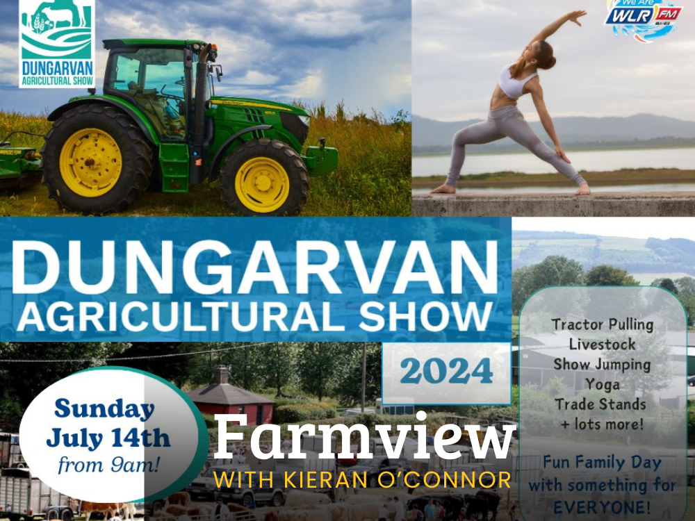 Listen Back: Farmview July 11th 2024