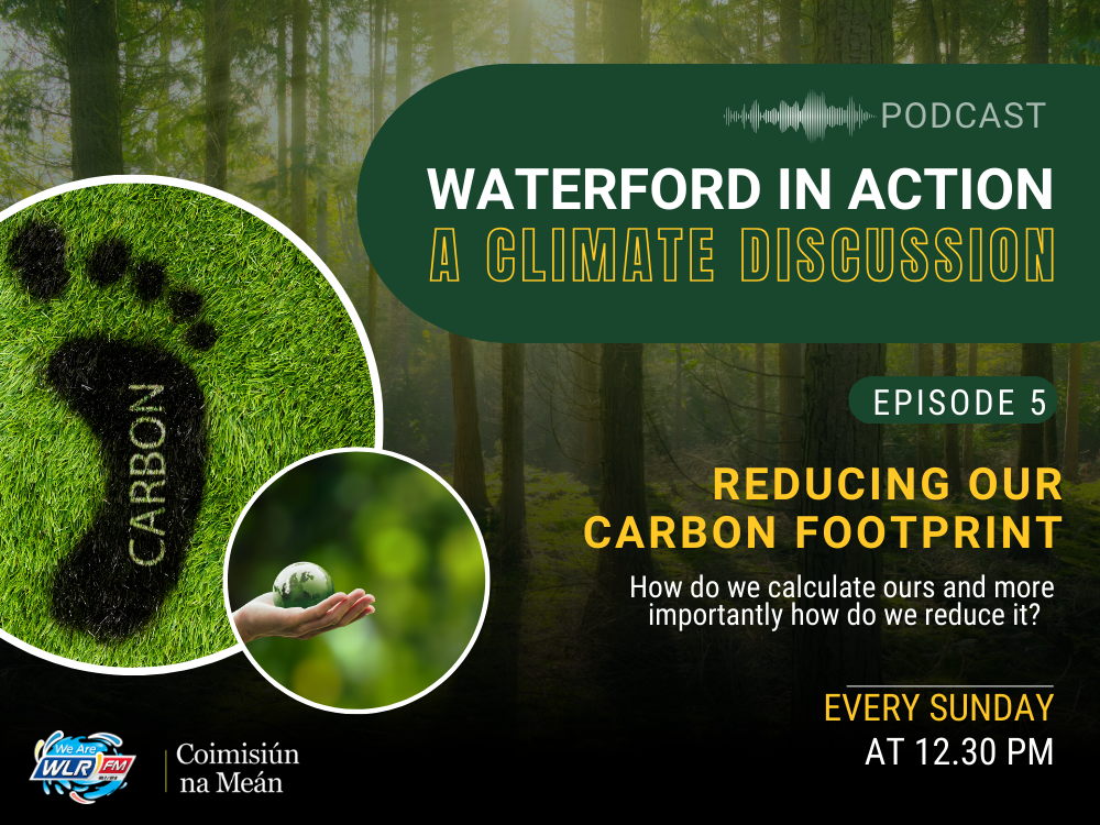 Reducing Our Carbon Footprint