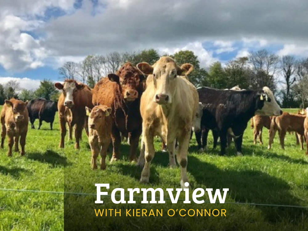 Listen Back: Farmview July 18th 2024