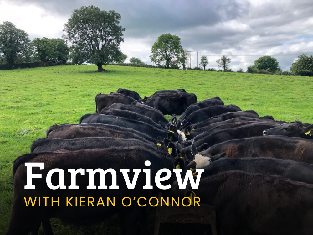Listen Back: Farmview July 4th 2024