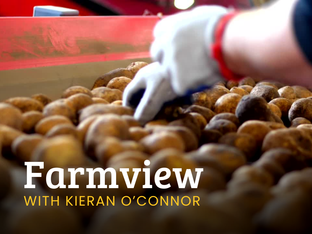 Listen Back: Farmview June 13th 2024