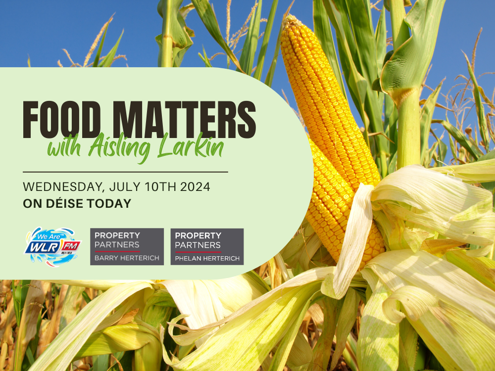 Food Matters Seasons Corn